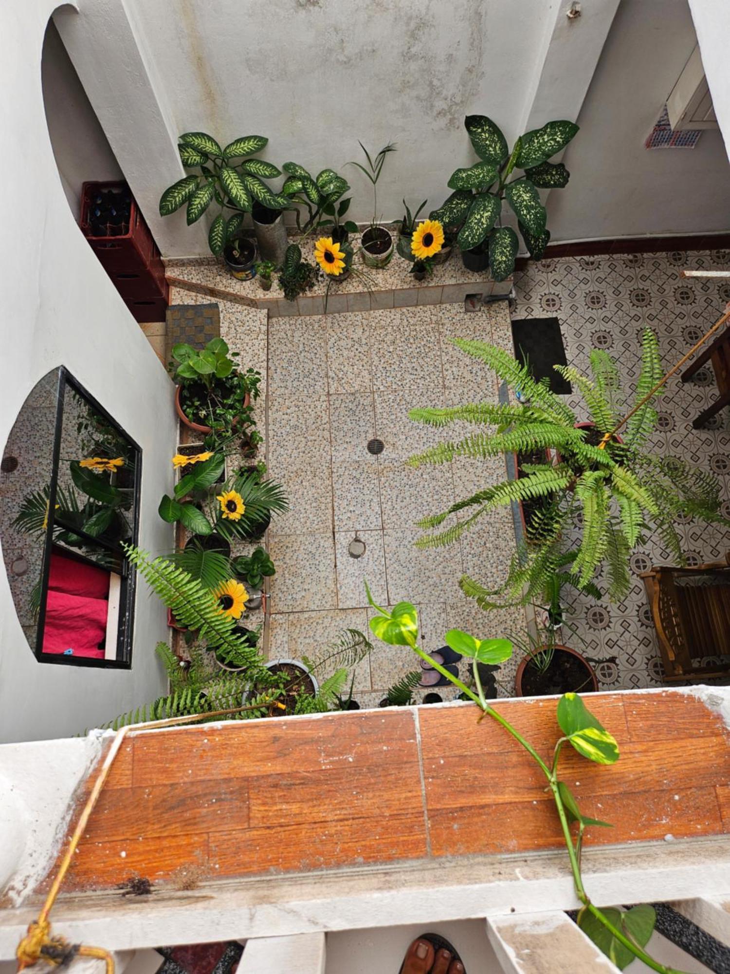 Sarisa House Hotell Iquitos Eksteriør bilde